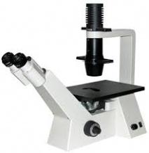 Zeiss Axiovert 25 Inverted Microscope