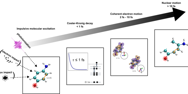Molecular response to impulsive ionization