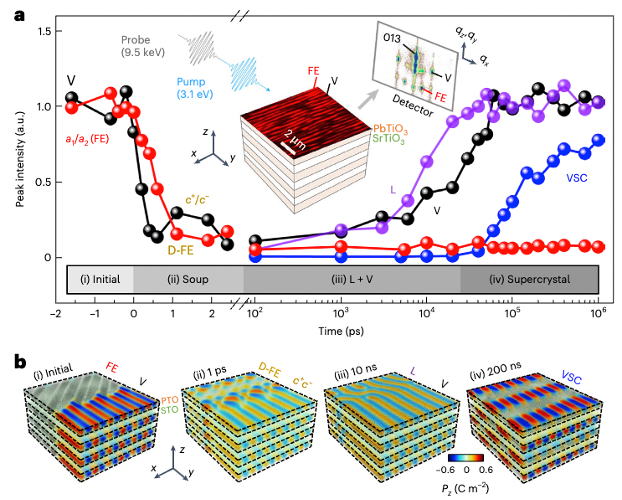Material Science graphic of a polar supercrystal