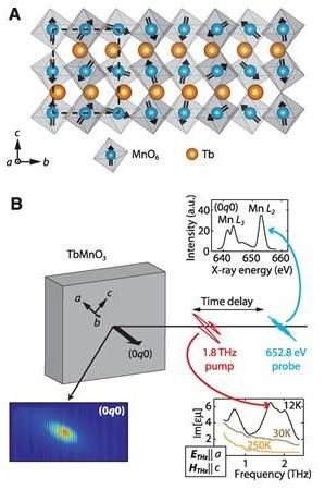 The magnetic structure of a multiferroic system TbMnO3 below 27 K.