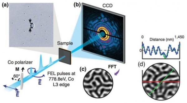 SXR Experimental Setup