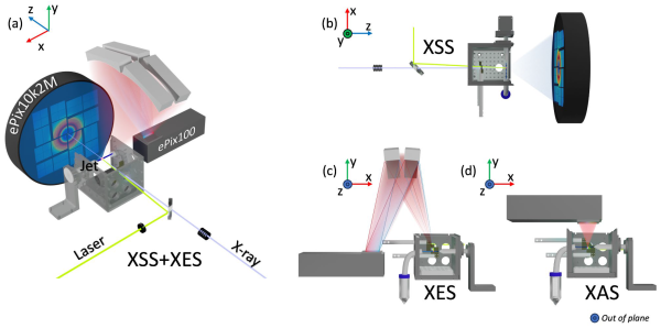 Liquid jet endstation