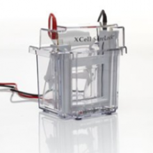 Invitrogen™ XCell SureLock™ Mini-Cell Gel Box